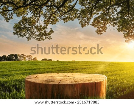 Tree Table wood Podium in farm display for food, perfume, and other products on nature background, Table in farm with grass, Sunlight at morning	
 Stock foto © 