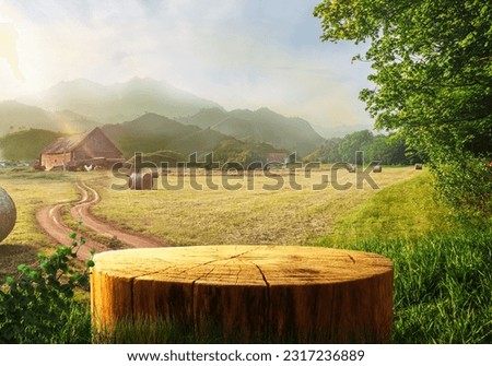 Tree Table wood Podium in farm display for food, perfume, and other products on nature background, Table in a farm with grass, trees, and Sunlight in the morning	
