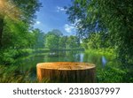 Tree Table wood Podium in front of the lake of the farm, a stand of display for food, perfume, and other products on a nature background, a Table in a farm with river and grass, Sunlight at Morning