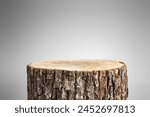 Tree Table wooden Podium for display