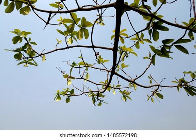 3 Kinshasha Images, Stock Photos & Vectors | Shutterstock