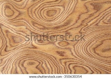 tree texture