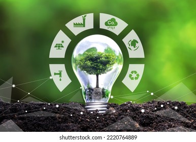 A tree that grows in a light bulb surrounded by obscuring icons. in the concept of energy in nature Renewable and alternative energy