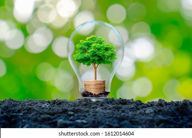 Energie Verte Images Stock Photos Vectors Shutterstock