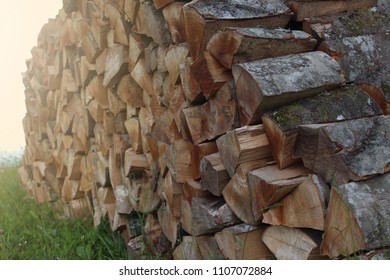 a tree that is split into pieces and prepared for the heating season
