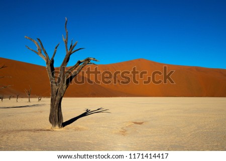 Einsamkeit Africa Desert