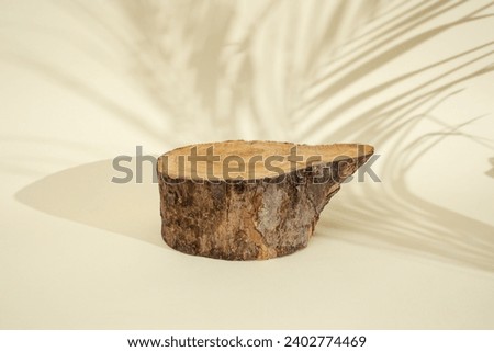 Tree thick cross section on beige background with defocused palm leaves shadows, abstract backdrop