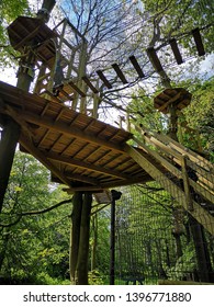 Tree Top Assault Course And Walkway