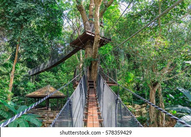 Tree Top Walk At Doi Tung , Thailand