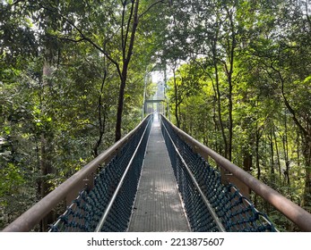 Tree Top Walk, Macritchi Nature Park