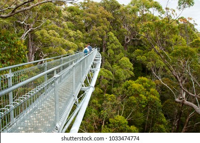 Tree Top Walk - Walpole - Australia