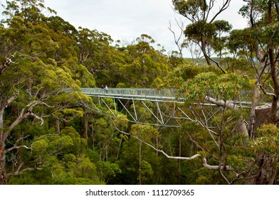 Tree Top Walk - Walpole - Australia