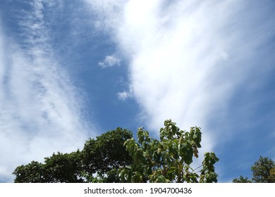 絹層雲 High Res Stock Images Shutterstock