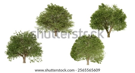 Similar – Image, Stock Photo Full Tree Tree trunk Fat