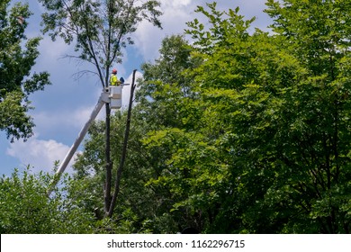 Tree Trim Cherry Picker Bucket Truck