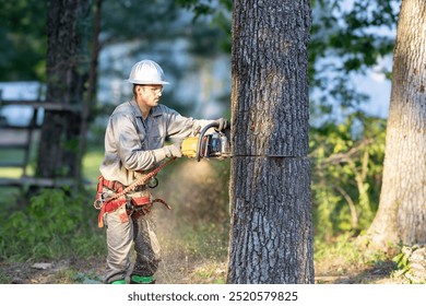 Tree trimmer using chainsaw and gear to cut down large oak tree. - Powered by Shutterstock