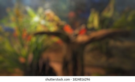 Tree trunk with blur effect
