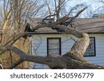 Tree trunk and branches crash through the roof of a house in the aftermath of a severe storm, main focus on roof and house