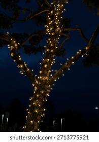 tree trunk and branches wrapped in strings of illuminated fairy lights at night 