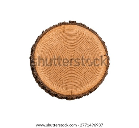 Tree Trunk Cross Section with Growth Rings Isolated on White Background