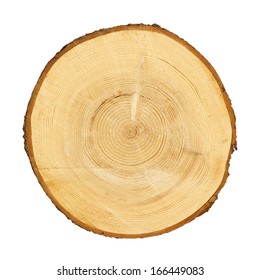 tree trunk cross section, isolated on white, clipping path included