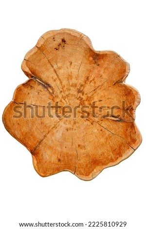 tree trunk cross section, isolated on white, clipping path included