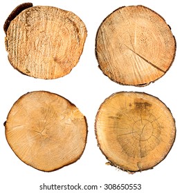 tree trunk cross section set, isolated on white, clipping path included