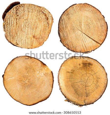 tree trunk cross section set, isolated on white, clipping path included