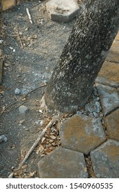 Tree trunk emerging between paving blocks with moss attached along the surface, showing a natural element growing through man-made materials. The composition highlights the contrast between organic textures and rigid industrial patterns, symbolizing coexistence between nature and urban structure. Suitable for design materials with themes of nature, industrial environment, resilience, and environmental concepts 