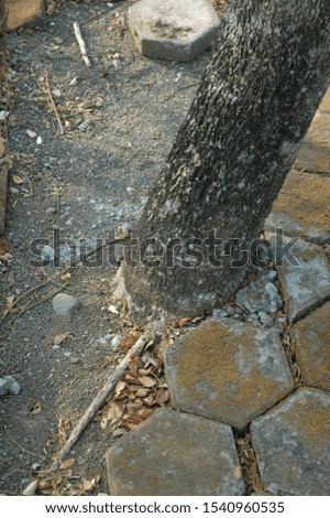 Tree trunk emerging between paving blocks with moss attached along the surface, showing a natural element growing through man-made materials. The composition highlights the contrast between organic textures and rigid industrial patterns, symbolizing coexistence between nature and urban structure. Suitable for design materials with themes of nature, industrial environment, resilience, and environmental concepts 