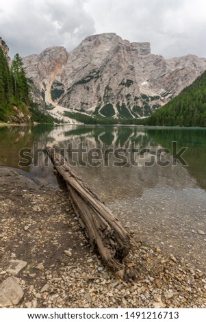 Similar – Image, Stock Photo wild lake