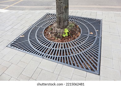 Tree Trunk In A Holder On The Street