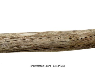 a tree trunk isolated on a white background