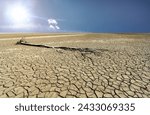 A tree trunk on the bottom of a dried-up lake