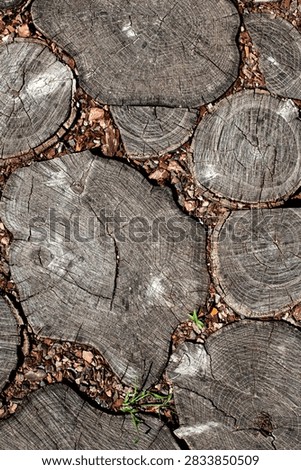 Tree trunk slice texture. Garden log path view. Wooden disc pavement pattern. Rustic stump step background. Crushed stone grid. Round timber slice flooring. Natural wood disk layout. Weathered log crosscut backdrop. Pebble filled wood pattern. Garden path timber slice. Old tree slice texture. Outdoor wooden slab pavement. Gravel and log layout. Rustic tree ring pattern. Round wood step background. Landscaping timber disc texture