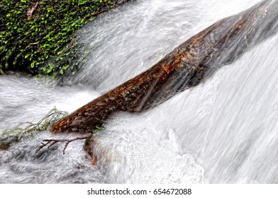 Tree trunk in the waterfall