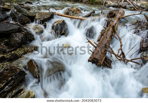 Tree Trunk Wedged in Rocks as\
Water Rushes Through Paintbrush Canyon in Grand Teton National\
Park