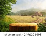 Tree trunk wood Podium display for food and other products on nature background, farm with grass and Orange tree, Sunlight at morning	
