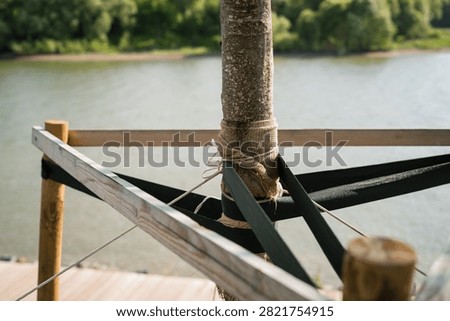 Tree trunk wrapped with burlap and rope for support by river