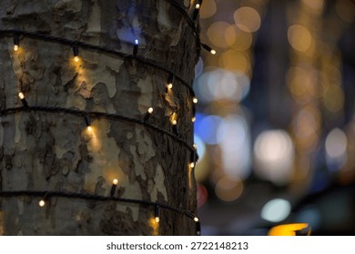 Tree trunk wrapped with string lights, bokeh background.