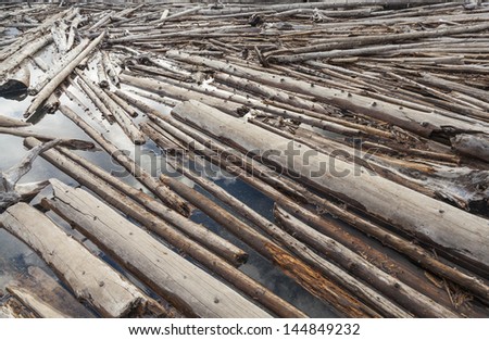 Tree trunks floating on a river creating a log jam
