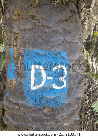 tree trunks in the forest have the words,