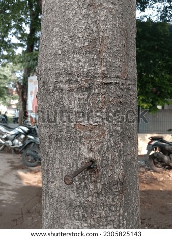 tree trunks and nails, wood is also in pain. Don't destroy nature, please avoid similar actions 