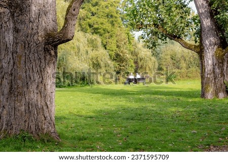 Tree trunks on green grass meadow in urban public park, Blurred two senior sitting on the bench talking and relaxing, Hobby and leisure activity of retirement age, Vondelpark, Amsterdam, Netherlands.