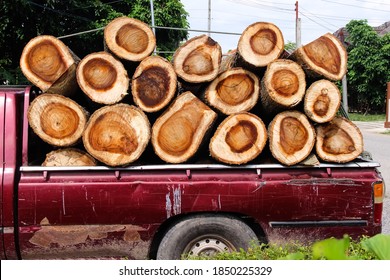 Tree Trunks Overlap In Old Red Pickup Truck