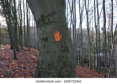 The tree trying to communicate