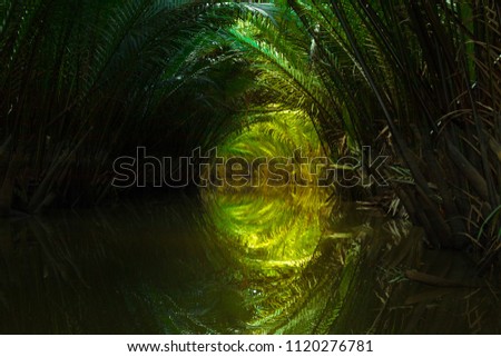 Similar – Image, Stock Photo Quo vadis? Forest