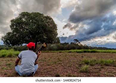 The tree is a type of abstract information, one of the branches in the branch, there is no circle in the members.