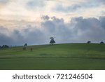 Tree under the clouds
