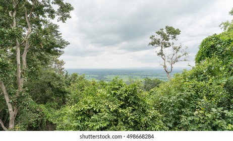 Tree view Mountainside